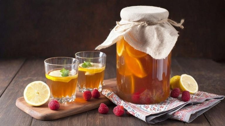 Домашня комбуча: простий рецепт і секрети догляду. Як виростити власний чайний гриб