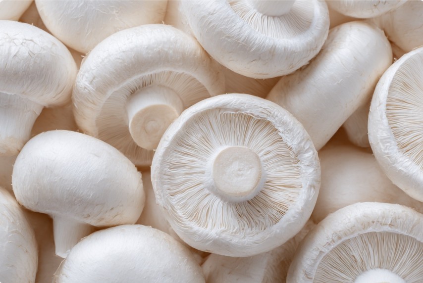 гриби для різдвяного столу