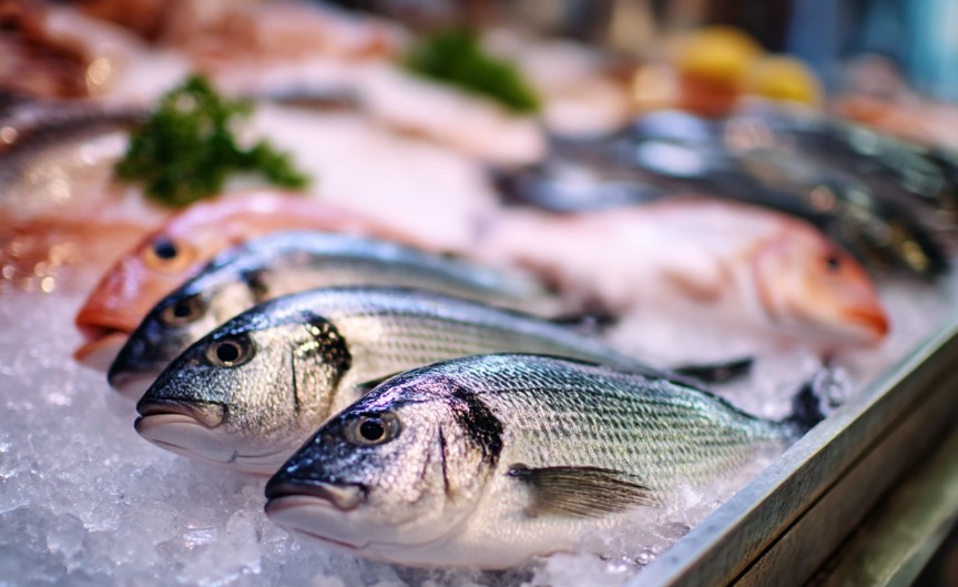Як виглядає свіжа риба: від голови до хвоста