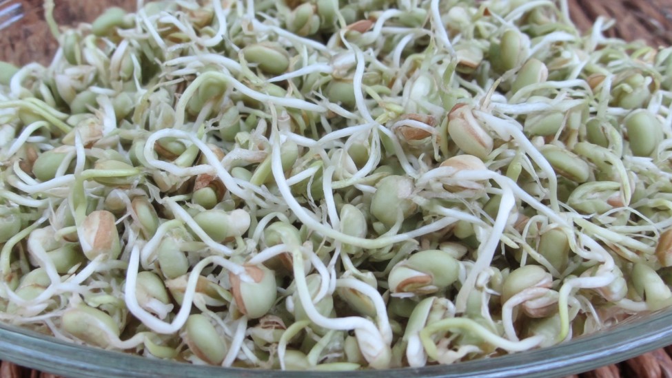 Додавайте пророщену гречку до салатів у самому кінці, щоб зберегти хрумкість