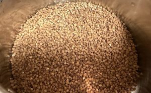 Сира гречка в каструлі перед приготуванням