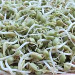 Пророщена зелена гречка: тренд чи база