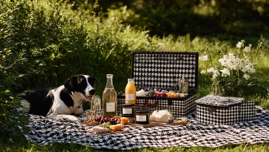 Прибирання після романтичного пікніка може здаватися неприємною дрібницею