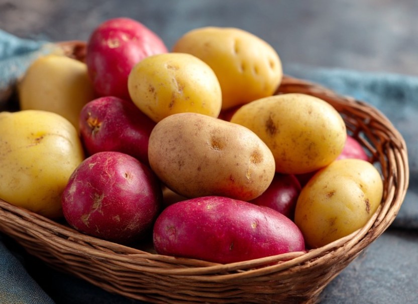 Wybór ziemniaków do pieczenia w piekarniku