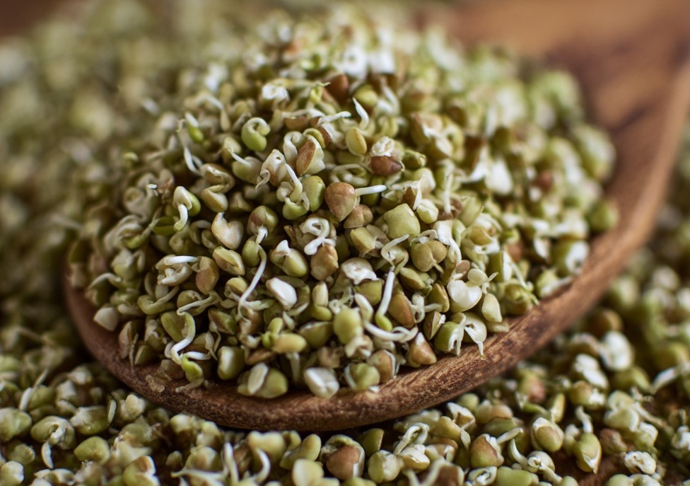 якщо хочеться максимальної хрусткості — пророщуйте лише до появи маленьких «хвостиків», не довше